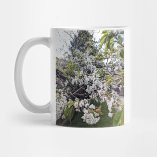 White Cherry Blossom Mug